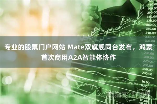 专业的股票门户网站 Mate双旗舰同台发布，鸿蒙首次商用A2A智能体协作